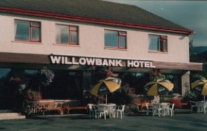 willow33